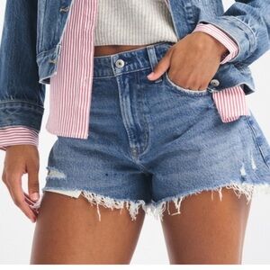 Abercrombie & Fitch Curve Love High Rise Mom Jean Shorts